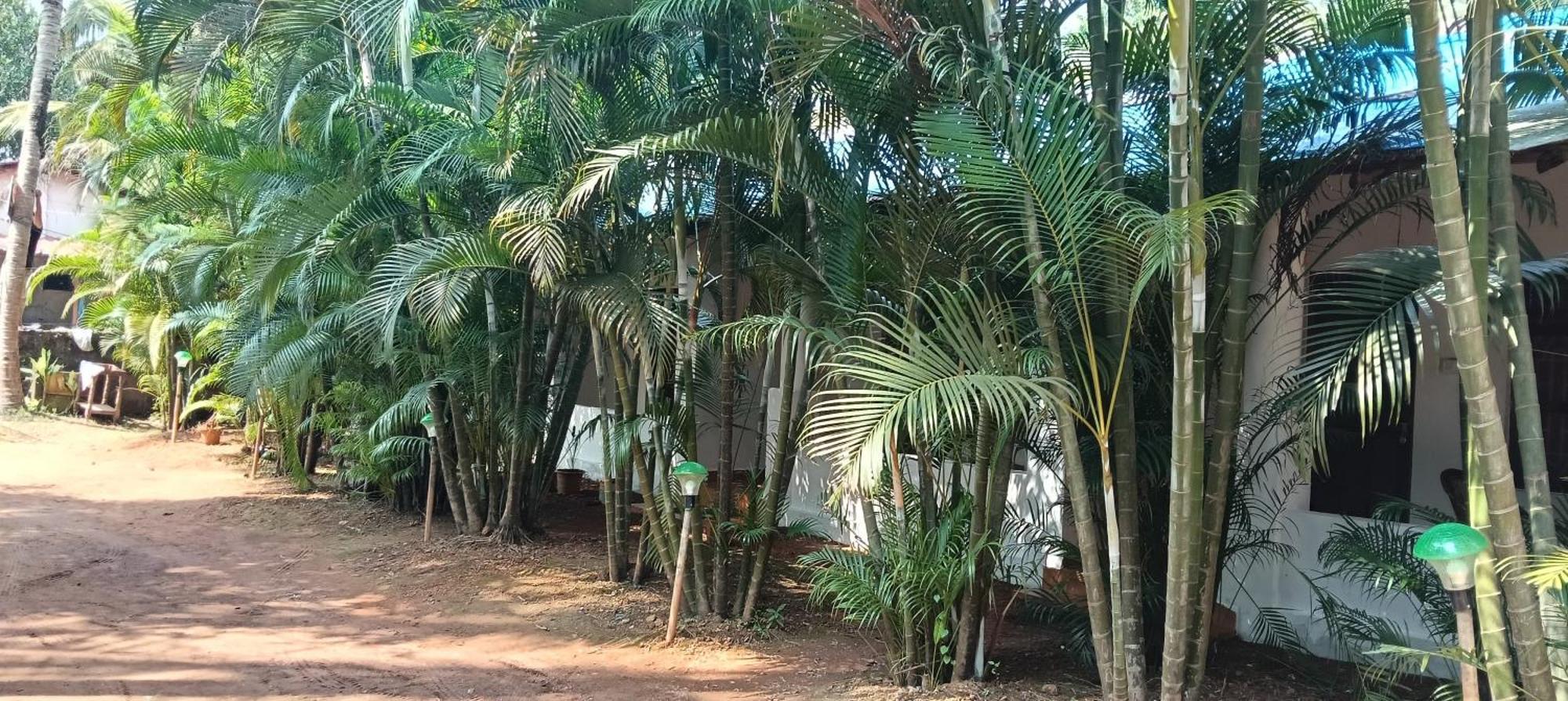 Casa Beach Hut Resort Palolem Esterno foto