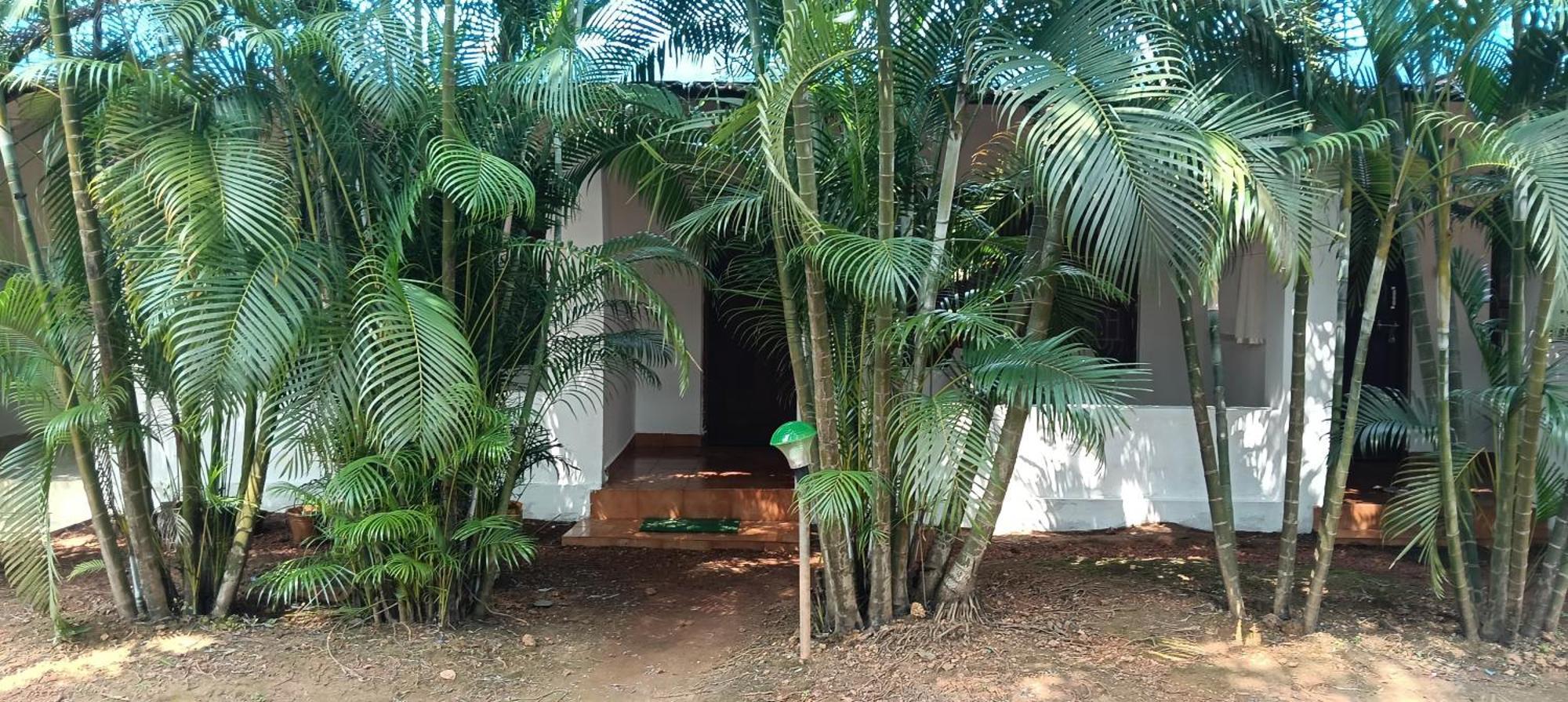 Casa Beach Hut Resort Palolem Esterno foto